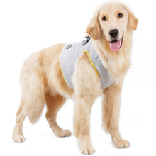 Load image into Gallery viewer, The Cooldog - Dog Harness Cooling Harness, Vest - Aura Apex