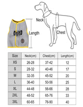 Load image into Gallery viewer, The Cooldog - Dog Harness Cooling Harness, Vest - Aura Apex