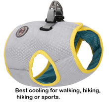 Load image into Gallery viewer, The Cooldog - Dog Harness Cooling Harness, Vest - Aura Apex