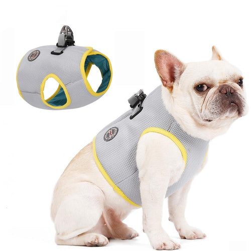 The Cooldog - Dog Harness Cooling Harness, Vest - Aura Apex