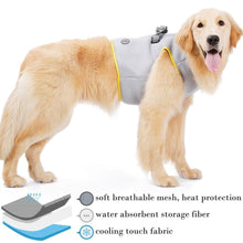 Load image into Gallery viewer, The Cooldog - Dog Harness Cooling Harness, Vest - Aura Apex
