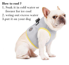 Load image into Gallery viewer, The Cooldog - Dog Harness Cooling Harness, Vest - Aura Apex
